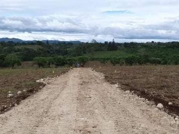 Lot for Sale Along the highway at Barangay Lingating Baungon Bukidnon