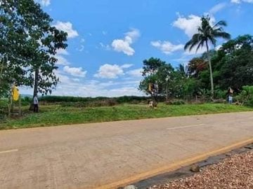 Lot for Sale Along the highway at Barangay Lingating Baungon Bukidnon