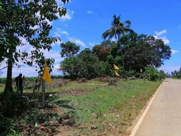 Lot for Sale Along the highway at Barangay Lingating Baungon Bukidnon