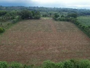 Lot for Sale Along the highway at Barangay Lingating Baungon Bukidnon