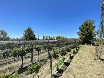 CASA QUINTA DE DOS PLANTAS CON TERRENO DE 5000mÂ²