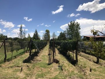 CASA QUINTA DE DOS PLANTAS CON TERRENO DE 5000mÂ²
