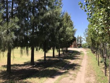 CASA QUINTA DE DOS PLANTAS CON TERRENO DE 5000mÂ²