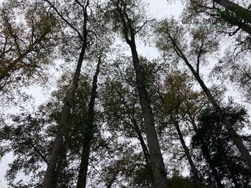 Casa en Venta en Increíble Lodge en terreno de 27 hás