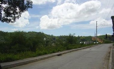 High End Lot only in Greenwoods Executive Homes Cebu