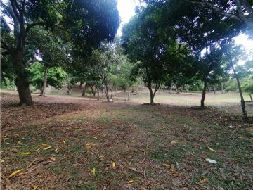 Se vende Terreno de 12000 mts2 en Villa Rosario Capira