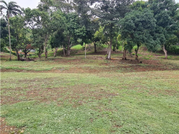 Se vende Terreno de 12000 mts2 en Villa Rosario Capira