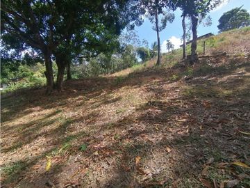Se vende Terreno de 12000 mts2 en Villa Rosario Capira