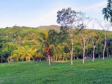 Centro recreativo de 2.5 hectáreas en venta, a 25 minutos de la ciudad de Tarapoto. Ver video!! 🎬