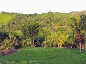 Centro recreativo de 2.5 hectáreas en venta, a 25 minutos de la ciudad de Tarapoto. Ver video!! 🎬