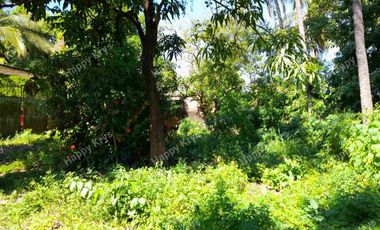 TERRENO EN  VENTA    EN  ACAPULCO,  PLANO AVENIDA LAZARO CARDENAS