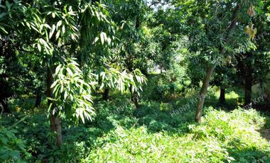 TERRENO EN  VENTA    EN  ACAPULCO,  PLANO AVENIDA LAZARO CARDENAS