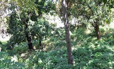 TERRENO EN  VENTA    EN  ACAPULCO,  PLANO AVENIDA LAZARO CARDENAS