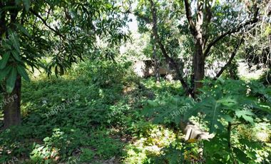 TERRENO EN  VENTA    EN  ACAPULCO,  PLANO AVENIDA LAZARO CARDENAS