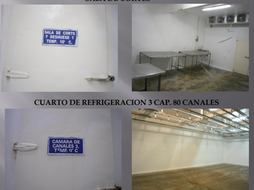 VENTA DE RASTRO TIF NORTE DE COAHUILA