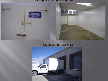 VENTA DE RASTRO TIF NORTE DE COAHUILA