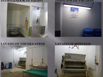 VENTA DE RASTRO TIF NORTE DE COAHUILA