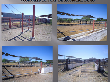 VENTA DE RASTRO TIF NORTE DE COAHUILA