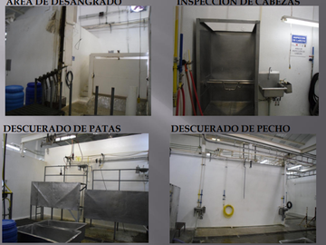 VENTA DE RASTRO TIF NORTE DE COAHUILA