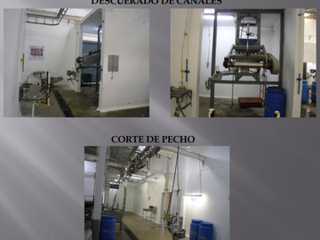 VENTA DE RASTRO TIF NORTE DE COAHUILA
