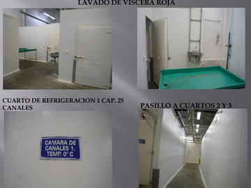 VENTA DE RASTRO TIF NORTE DE COAHUILA