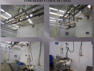 VENTA DE RASTRO TIF NORTE DE COAHUILA