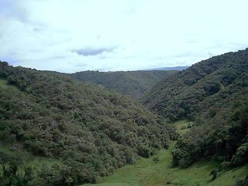 Terreno de 27 hectareas de Venta en Cuenca, Sector Tarqui.