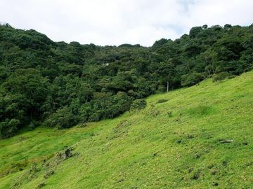 Terreno de 27 hectareas de Venta en Cuenca, Sector Tarqui.