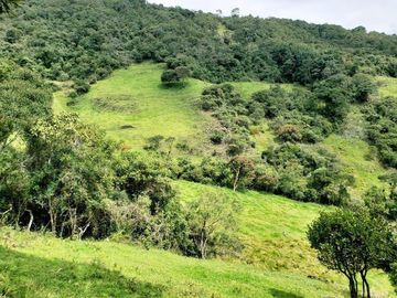 Terreno de 27 hectareas de Venta en Cuenca, Sector Tarqui.