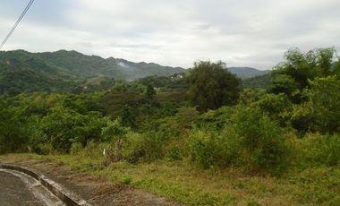 Overlooking 530 SQM Subdivision Lot for Sale in Greenwoods near Talamban Cebu City with Mountain View