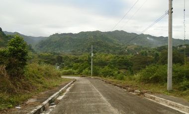 Overlooking 530 SQM Subdivision Lot for Sale in Greenwoods near Talamban Cebu City with Mountain View