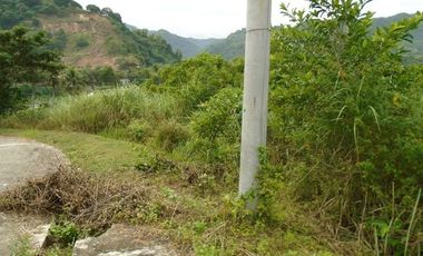Overlooking 530 SQM Subdivision Lot for Sale in Greenwoods near Talamban Cebu City with Mountain View
