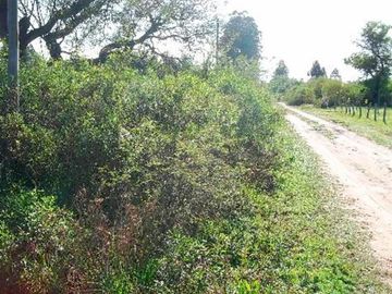 Lote en estratégica esquina. Ubicado a 300 metros de la playa y a 1.500 metros del complejo Termas Balneario San José, Departamento Colón, Entre Ríos.