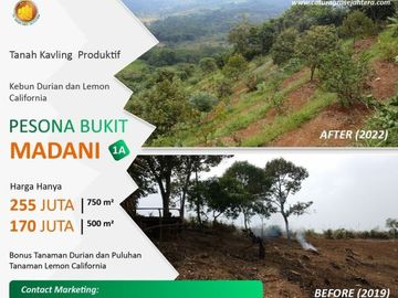 Investasi Tanah Kebun di Bogor Timur Harga Murah