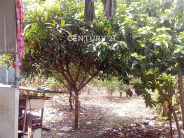 Dijual Tanah Bonus Kontrakan Di Jati Sampurna Bekasi Bs 19032