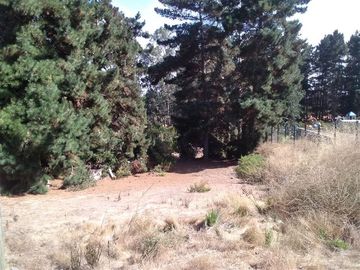 PARCELA PINARES NORTE CESIÓN DE DERECHOS F90 KL 3 CENTRO