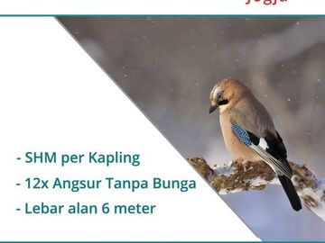 Kavling Sleman, Area Perumahan UPN, Include Fasum