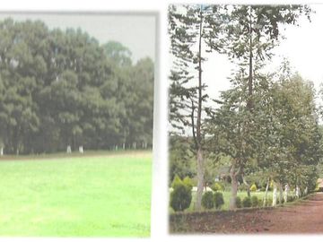 Rancho En Venta En Hidalgo