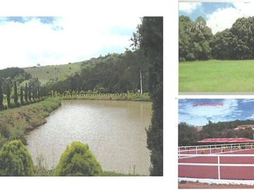Rancho En Venta En Hidalgo