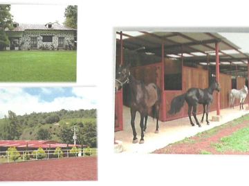 Rancho En Venta En Hidalgo