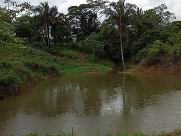Rancho ganadero y de cultivo
