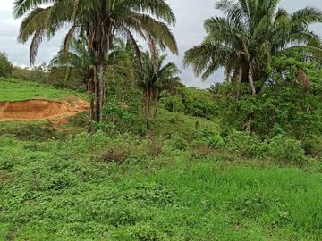 Rancho ganadero y de cultivo
