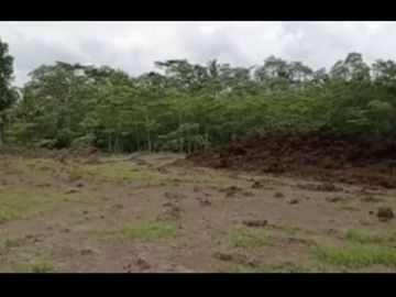 Kavling Murah dekat Milkindo Kepanjen