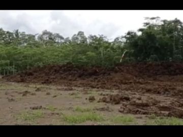 Kavling Murah dekat Milkindo Kepanjen