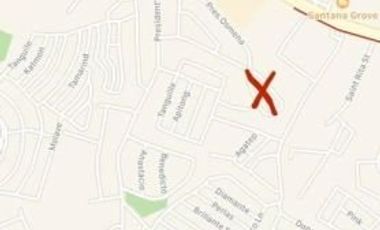 FOR SALE: 5 BR House and lot Teoville, Paranaque