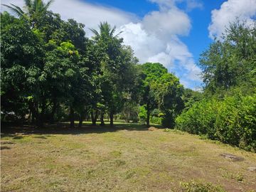 Se Vende Finca de 1 Has - en la Interamericana (H)