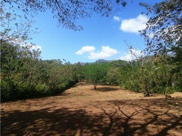 Se Vende Finca de 1 Has - en la Interamericana (H)