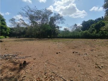 Se Vende Finca de 1 Has - en la Interamericana (H)