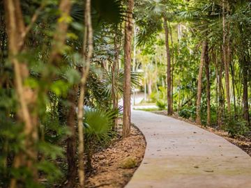 Villa con alberca, doble altura, vistas verdes venta Senderos de Ciudad Mayakoba