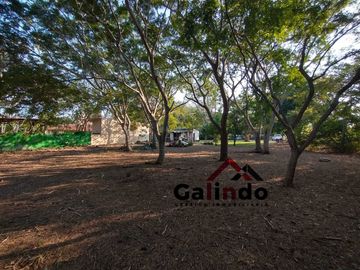 RANCHO EN VENTA CON CASA DE DESACANSO EN EL FARALLON VERACRUZ CERCA DE LA PLAYA